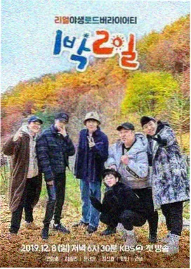 奔跑吧-综艺节目推荐-光影影视网