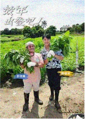 向往的生活-慢综艺推荐-光影影视网